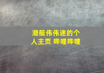 潜艇伟伟迷的个人主页 哔哩哔哩